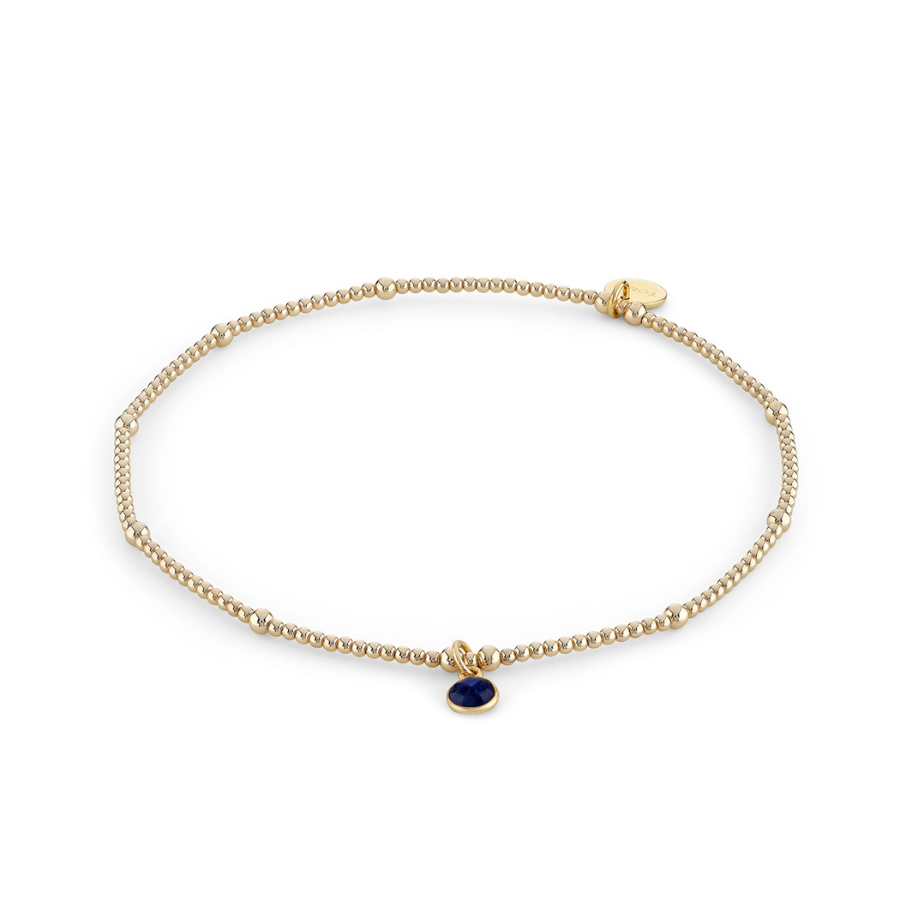 Load image into Gallery viewer, Sapphire Birthstone Charm Anklet
