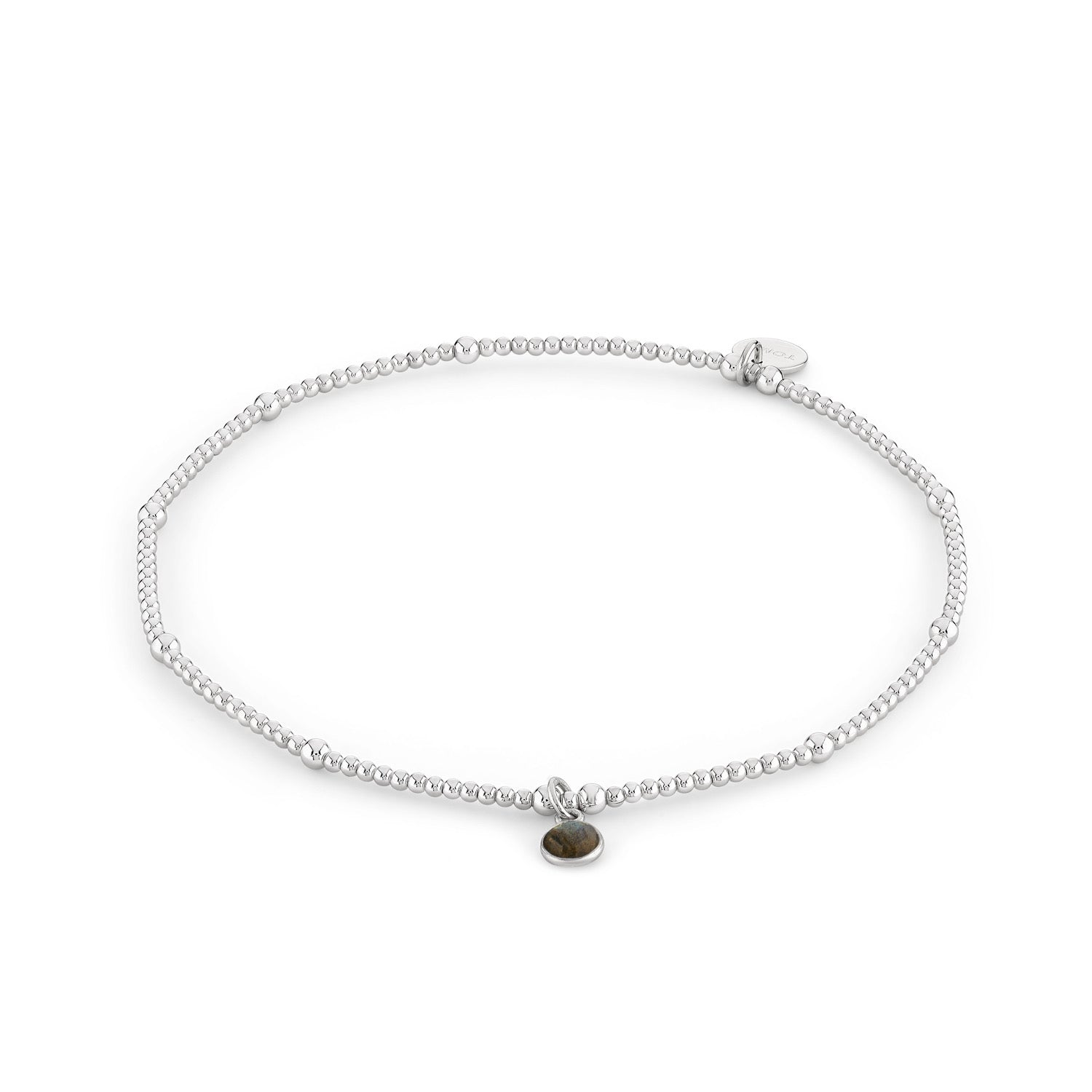 Labradorite Birthstone Charm Anklet